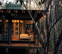 Phinda Forest Lodge